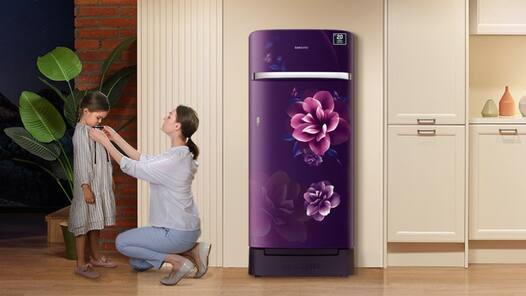 Amazon Summer Appliances Fest Sale: 20,000 से कम में खरीदें टॉप ब्रांडेड फ्रिज, बिजली भी होगी कम खर्च