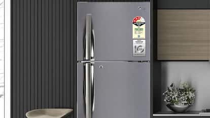 Amazon deals: Top-selling double-door refrigerators under Rs 30,000