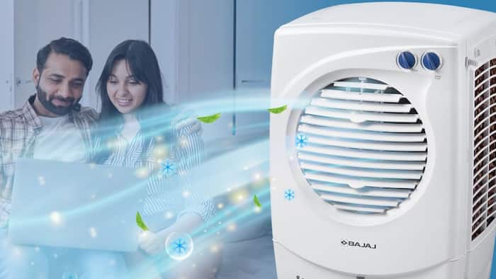 Bajaj PMH 25 DLX 24L Personal Air Cooler
