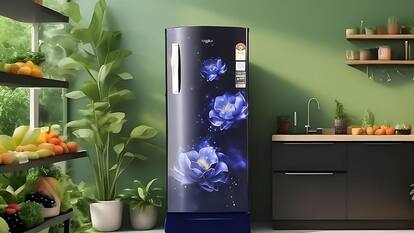 Amazon Offers: इन फ्रिज पर मिल रही गजब डील, 19 हजार से कम में खरीदने का चांस