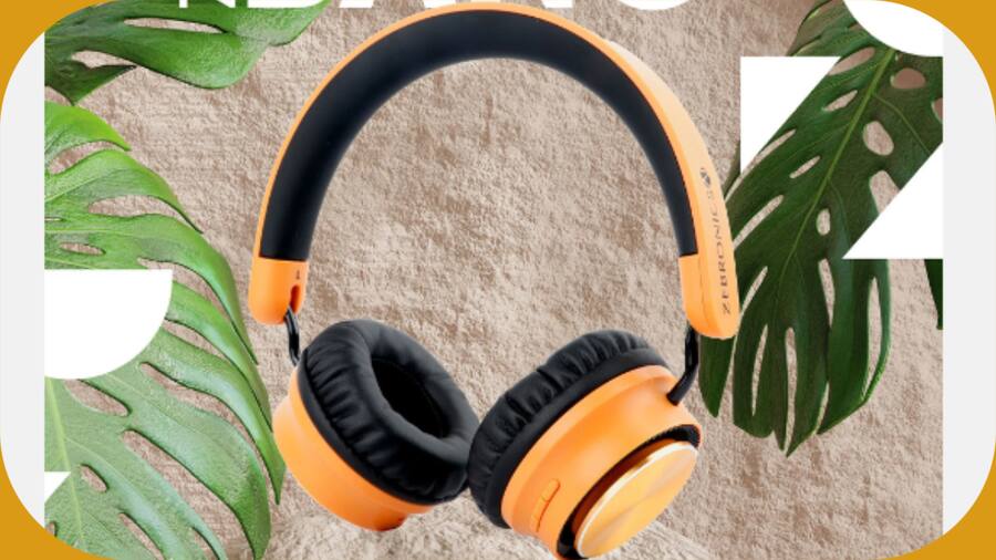 Zebronics Zeb-Bang Pro