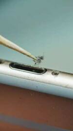 techlusive.in webstories