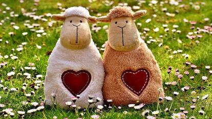 Friendship Day 2024: Top 5 tech gifts for your best friend under Rs 2000