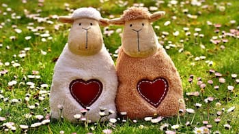Friendship Day 2024: Top 5 tech gifts for your best friend under Rs 2000