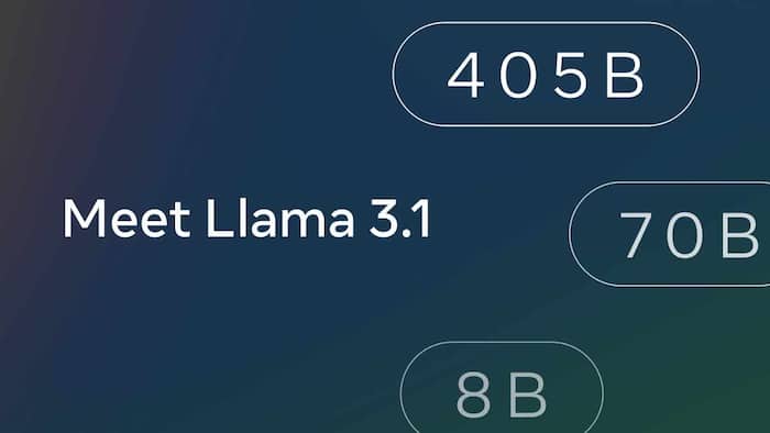 Meta Llama 3.1 1