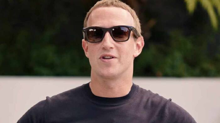 Meta glasses