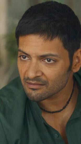 OTT this weekend: Mirzapur Season 3, Beverly Hills Cop: Axel F