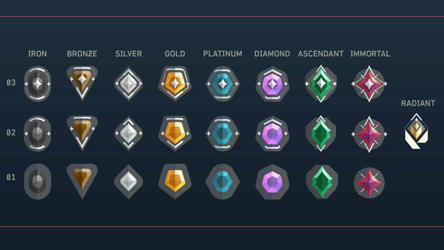 Understand the basics