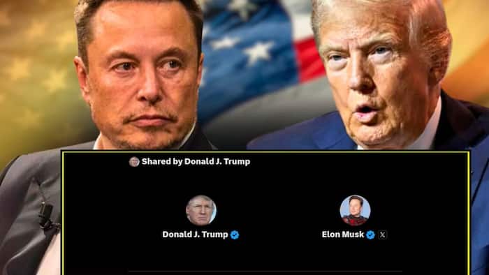 Elon Musk-Donald Trump Interview