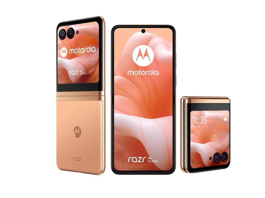 Untitled design - 2024-08-27T184308.656