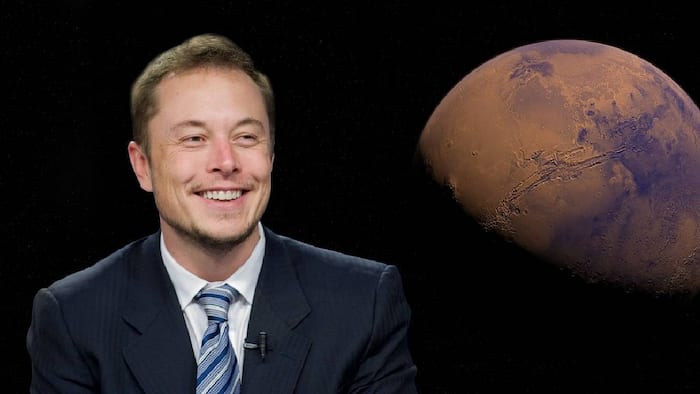elon musk donald trump