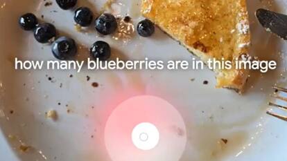 Google Lens users can now record videos to add voice context to searches