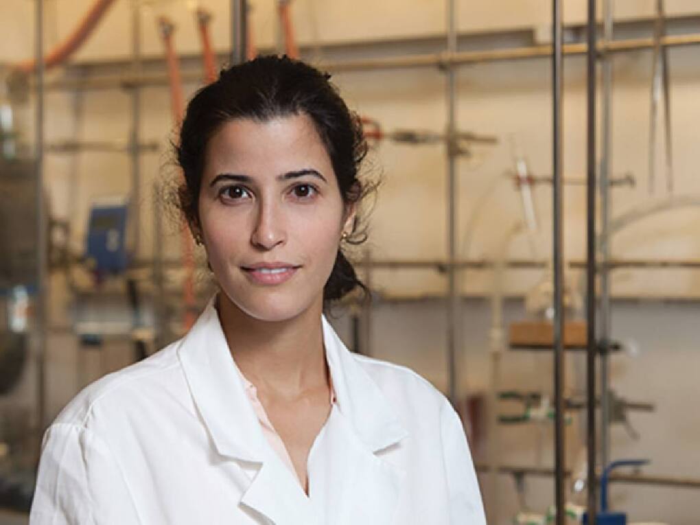 Adah Almutairi new