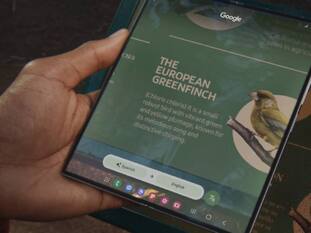 Galaxy Z Fold 7 Launch: Samsung May Unveil Two Different Models