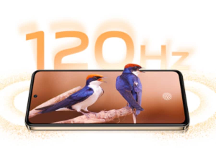 Vivo - 2024-09-24T190222.698