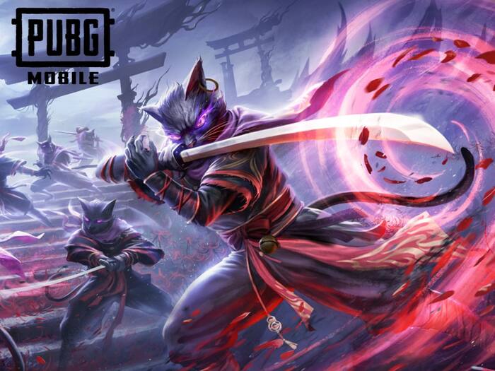 PUBG Mobile Noir Feline Set