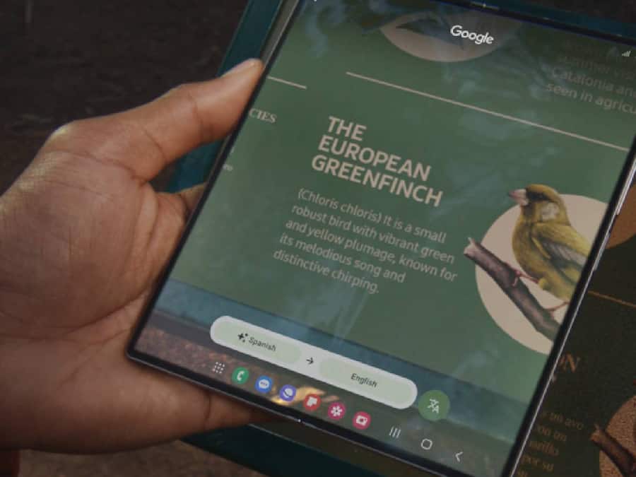 Samsung-Galaxy-Z-Fold6-5G