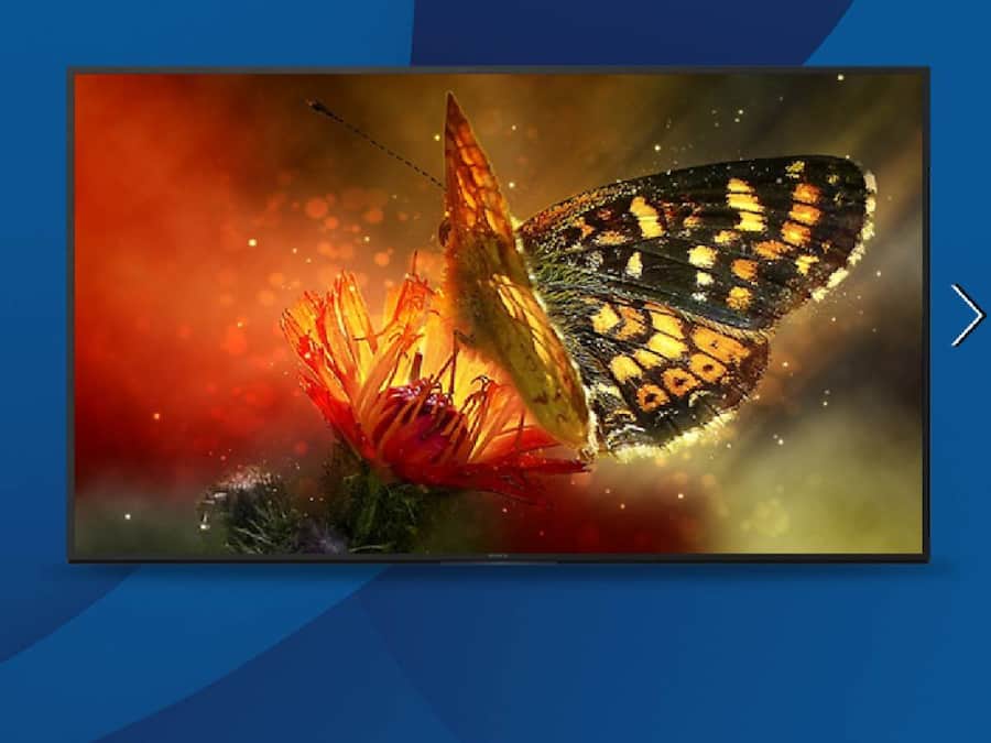 Sony Bravia 164 cm (65 inches)