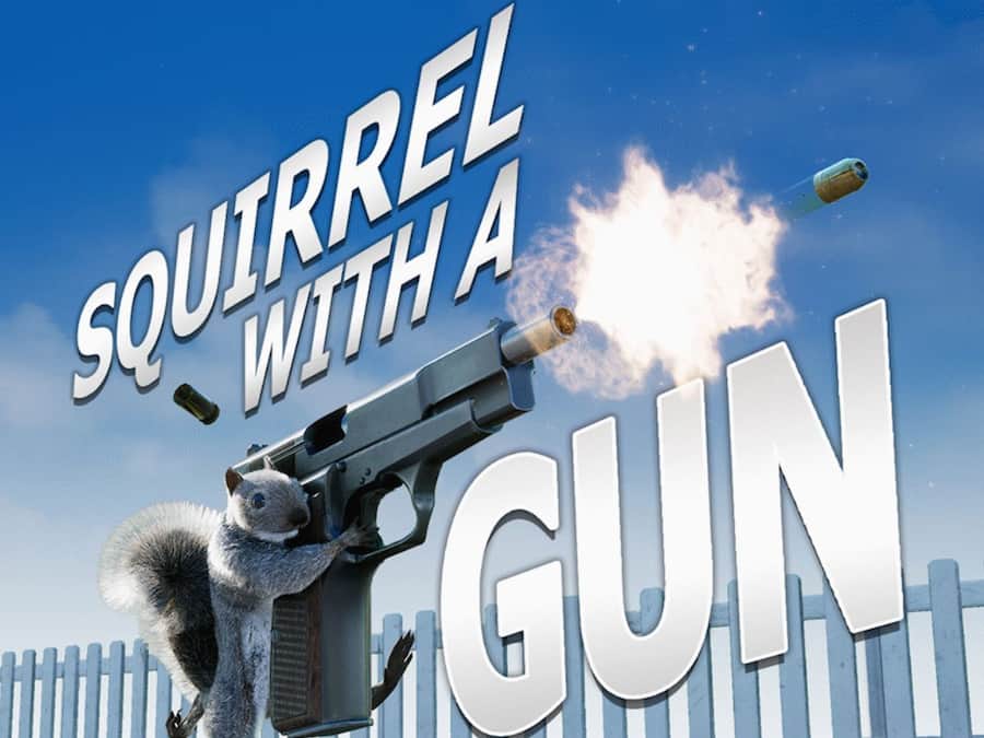 Squirrel With A Gun