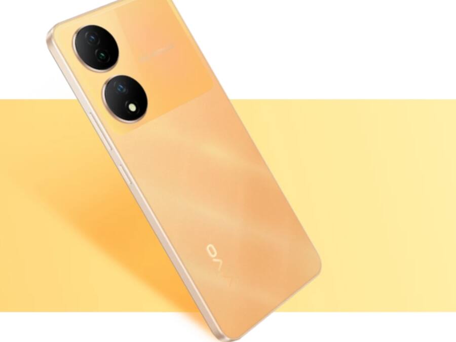 Vivo (12)