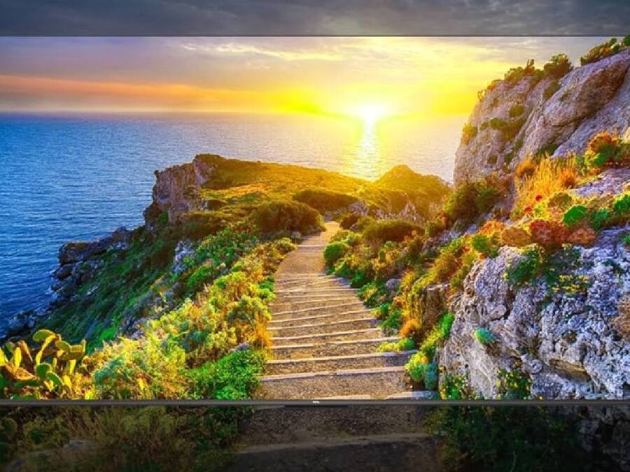 TCL 139 cm (55 inches)