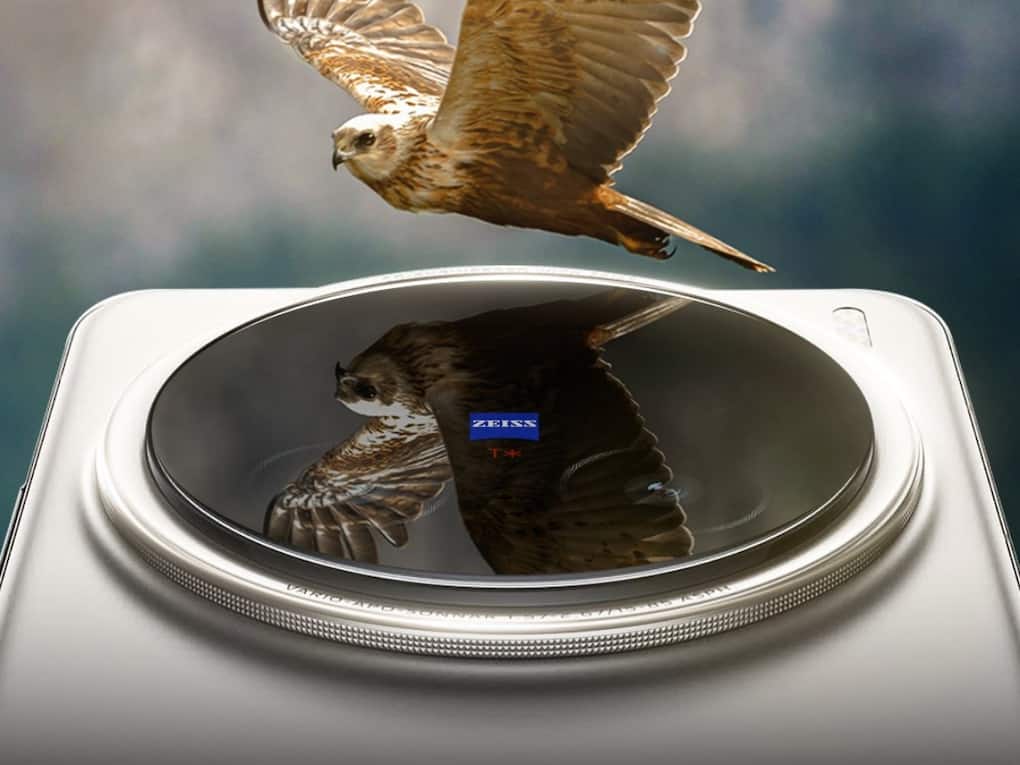 Vivo (21)