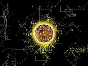 The Proliferation of Blockchain Networks: Beyond Bitcoin