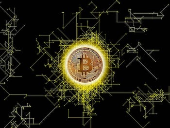 The Proliferation of Blockchain Networks: Beyond Bitcoin