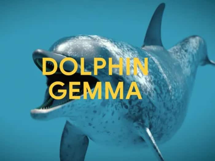 DolphinGemma