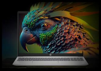 HP OmniBook 5 लैपटॉप 16GB RAM के साथ भारत में लॉन्च, जानें कीमत और खूबियां