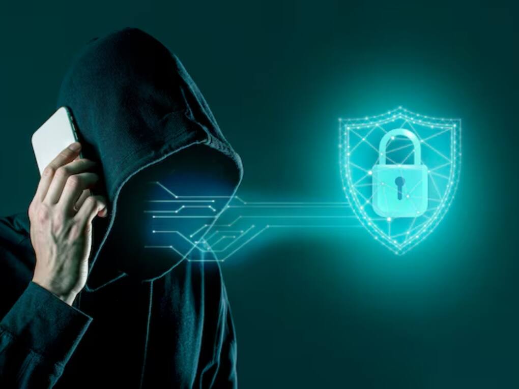 Cyber Fraud