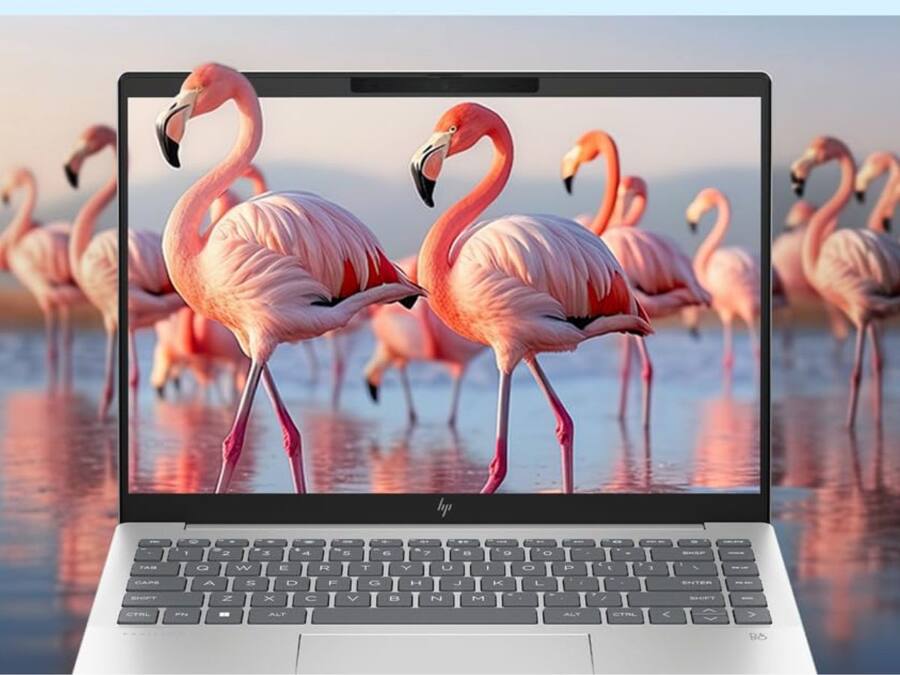 HP Pavilion Plus