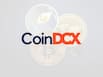 After WazirX, CoinDCX Loses Rs 380 Crore In Massive Cryptocurrency Hack