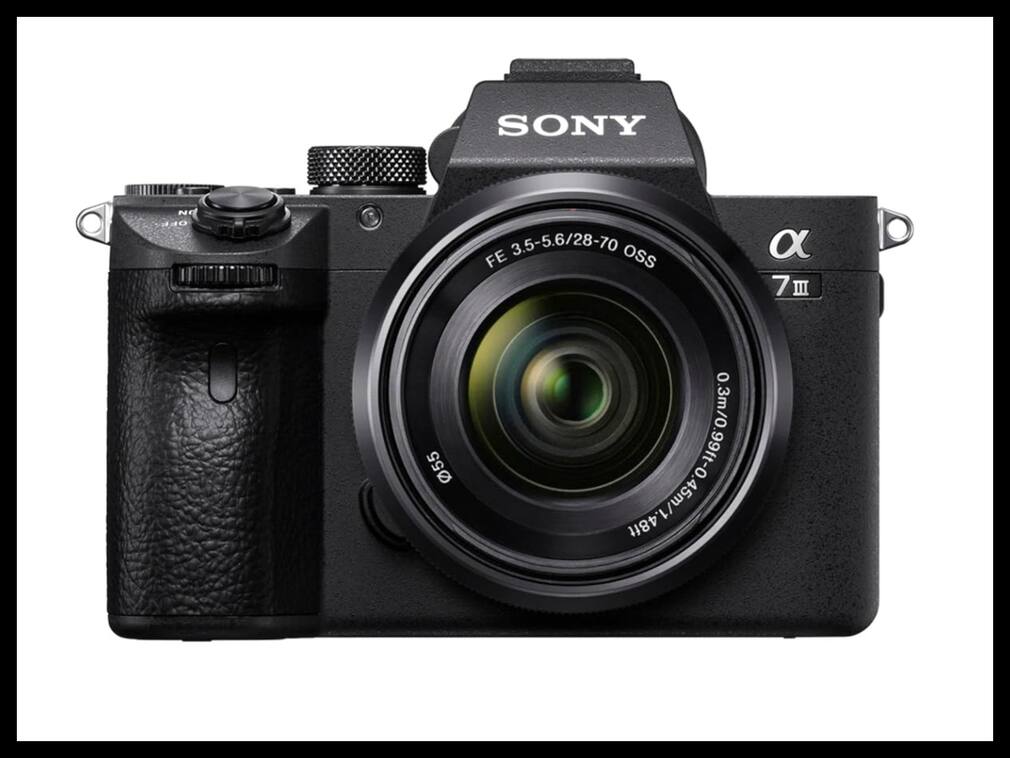 World Photography Day: फोटोग्राफर्स के लिए बेस्ट रहेंगे ये कैमरा, Amazon पर स्पेशल ऑफर