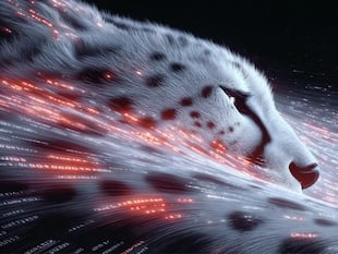 Elon Musk’s xAI Launches Grok Code Fast 1 With Agentic Coding Abilities, Free For A Week