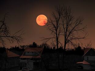 Don’t Miss The Blood Moon! How To Watch The Lunar Eclipse In India On Sept 7-8; Check Online Livestream Options Too