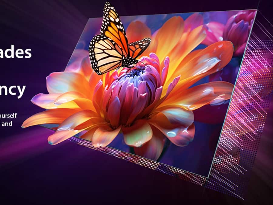 TOSHIBA 164 cm (65 inches) (1)