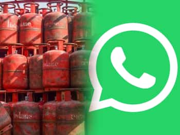 अब घर बैठे WhatsApp से करें गैस सिलेंडर बुक, करना होगा ये नंबर सेव, फिर करें ये काम