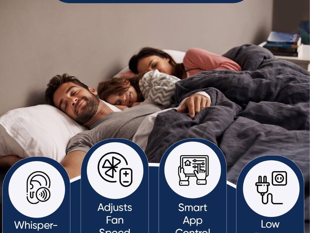 _Blueair air purifier