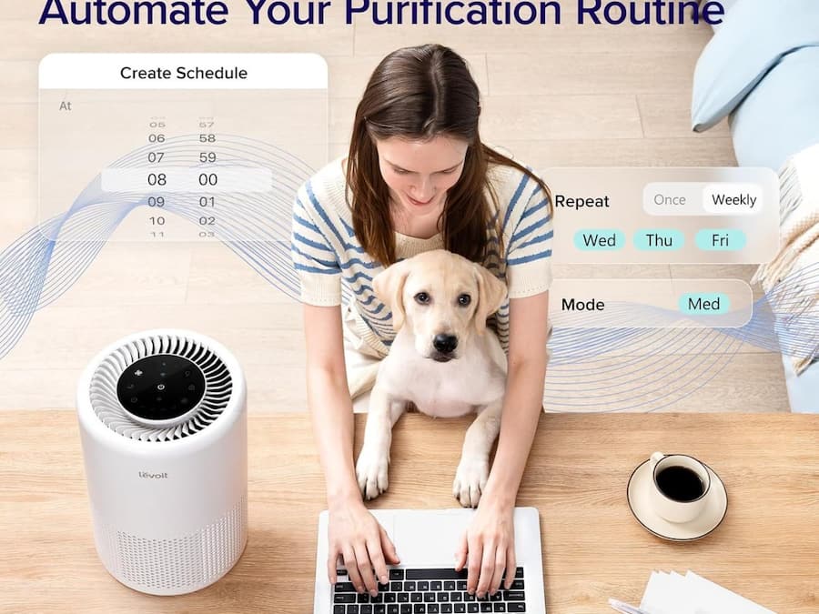 LEVOIT Smart WiFi Air Purifier
