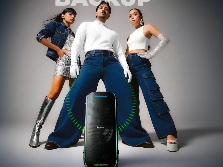 Zebronics Portable Bluetooth Speaker