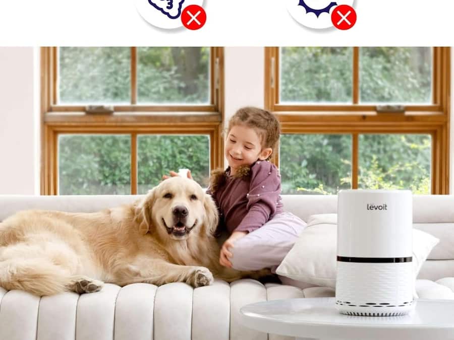 LEVOIT LV-H132 Purifier