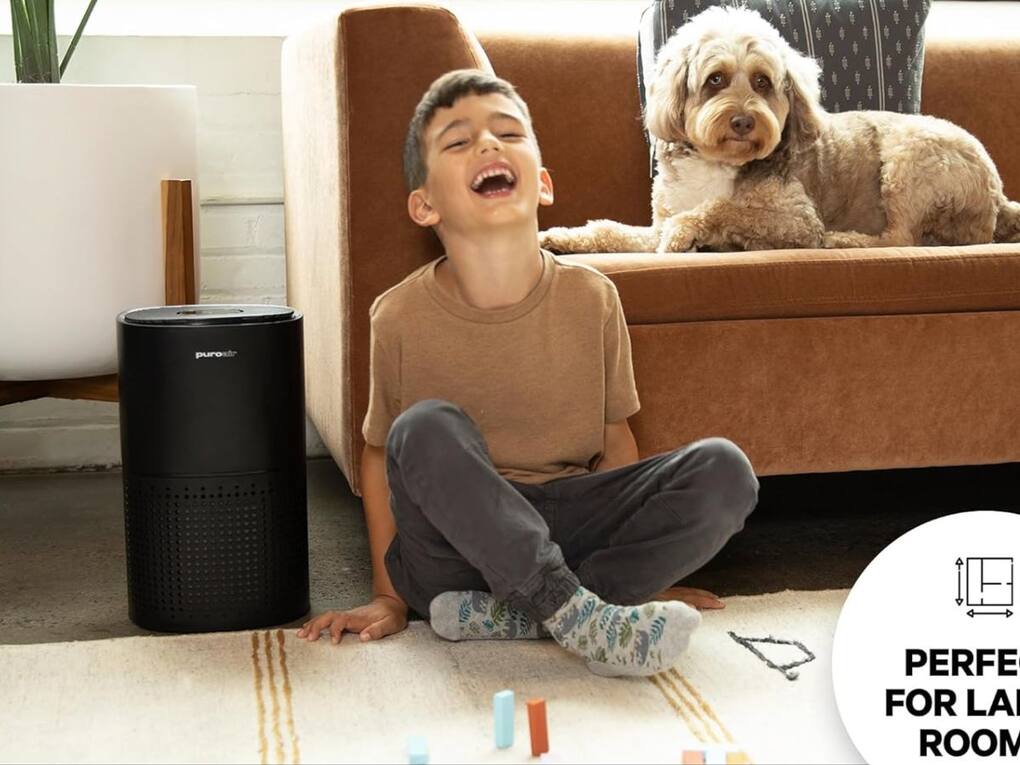 PuroAir 240 HEPA Air Purifier