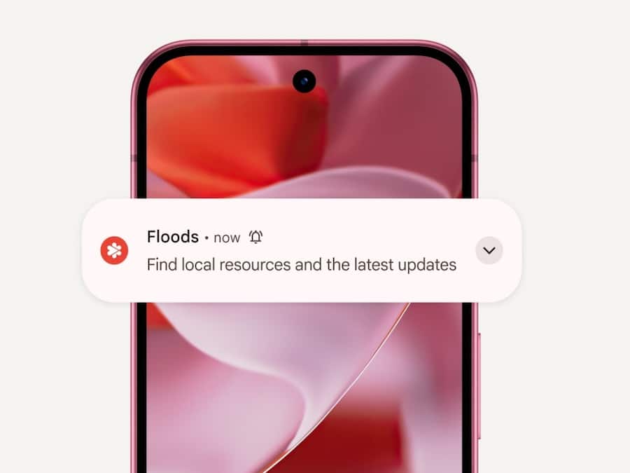 Google Pixel 9 5G (2)