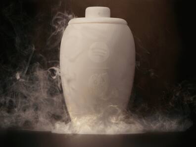 Spotify ने लॉन्च किया दुनिया का सबसे अनोखा Bluetooth Speaker, कीमत 45 हजार