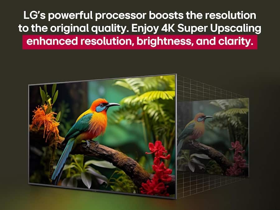 _LG 108 cm (43 Inches) (1)