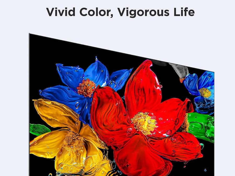 TCL 101 cms (40 inches)