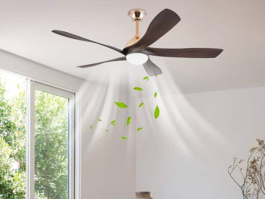 untitled - 2026-03-24T152629.072