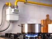 How to surrender your LPG connection via MyPNG-D portal: Step-by-step guide