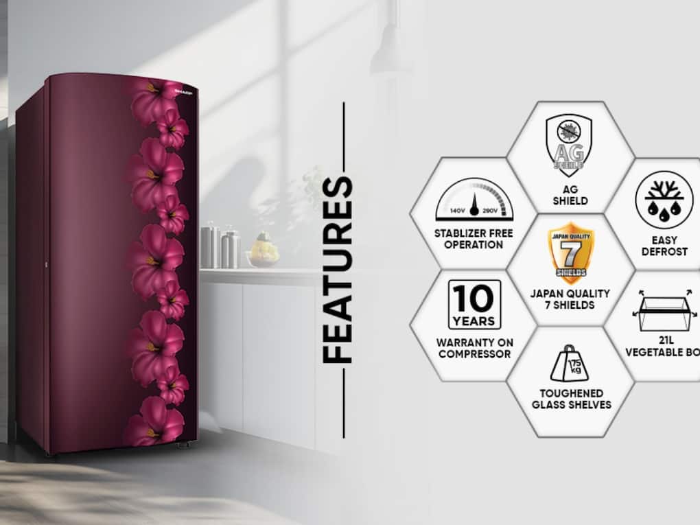 Fridge (17)